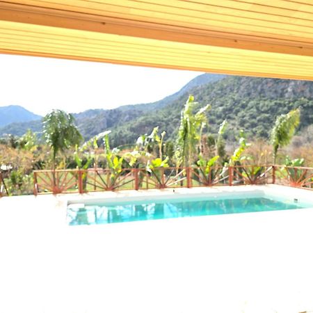 Bellerofon Villa Çıralı Kültér fotó